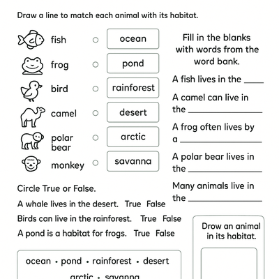 Animals & Habitats Worksheets Activity Sheet thumbnail